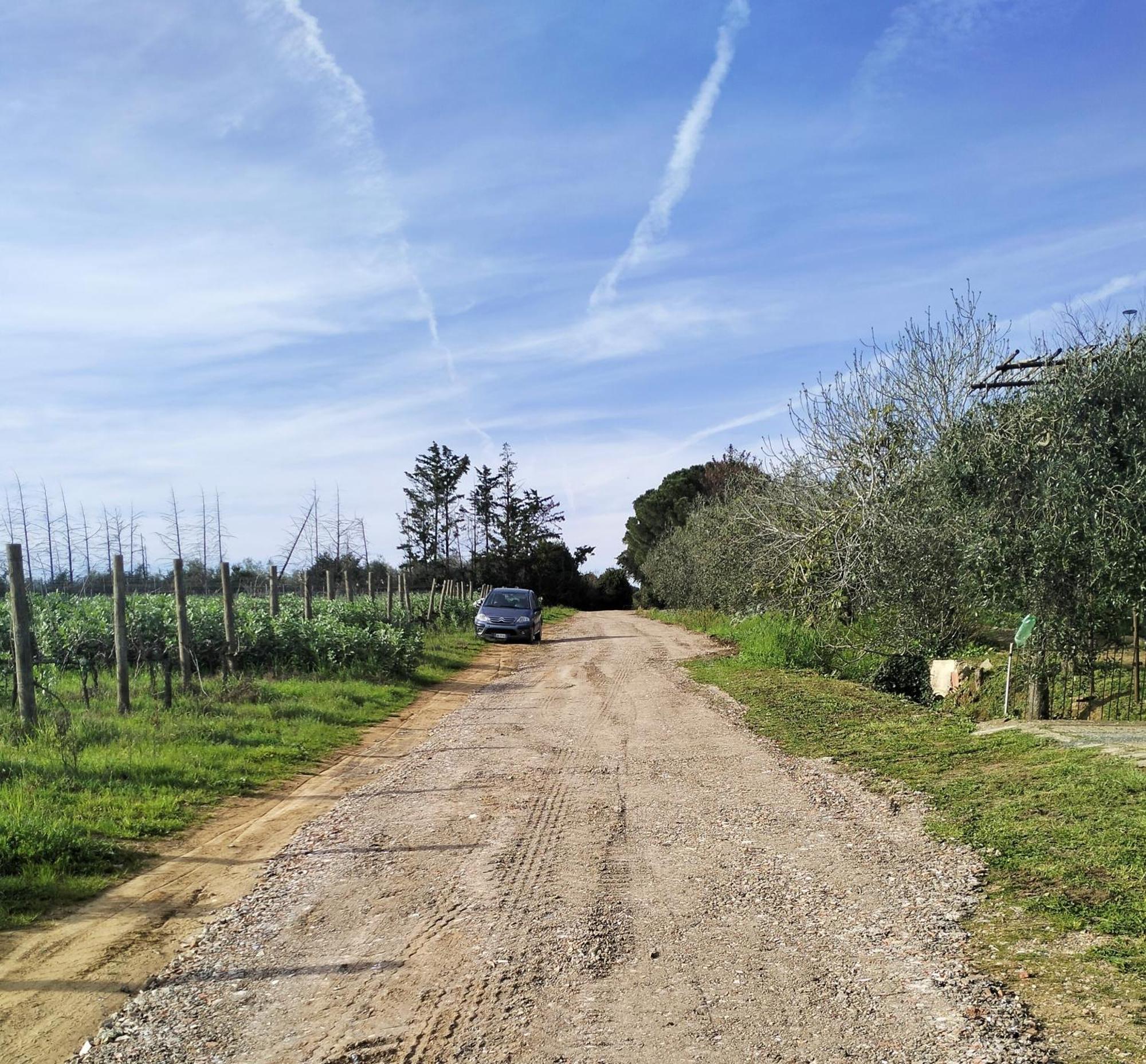 Villetta Fedora Immersa Nel Verde Cecina  Extérieur photo