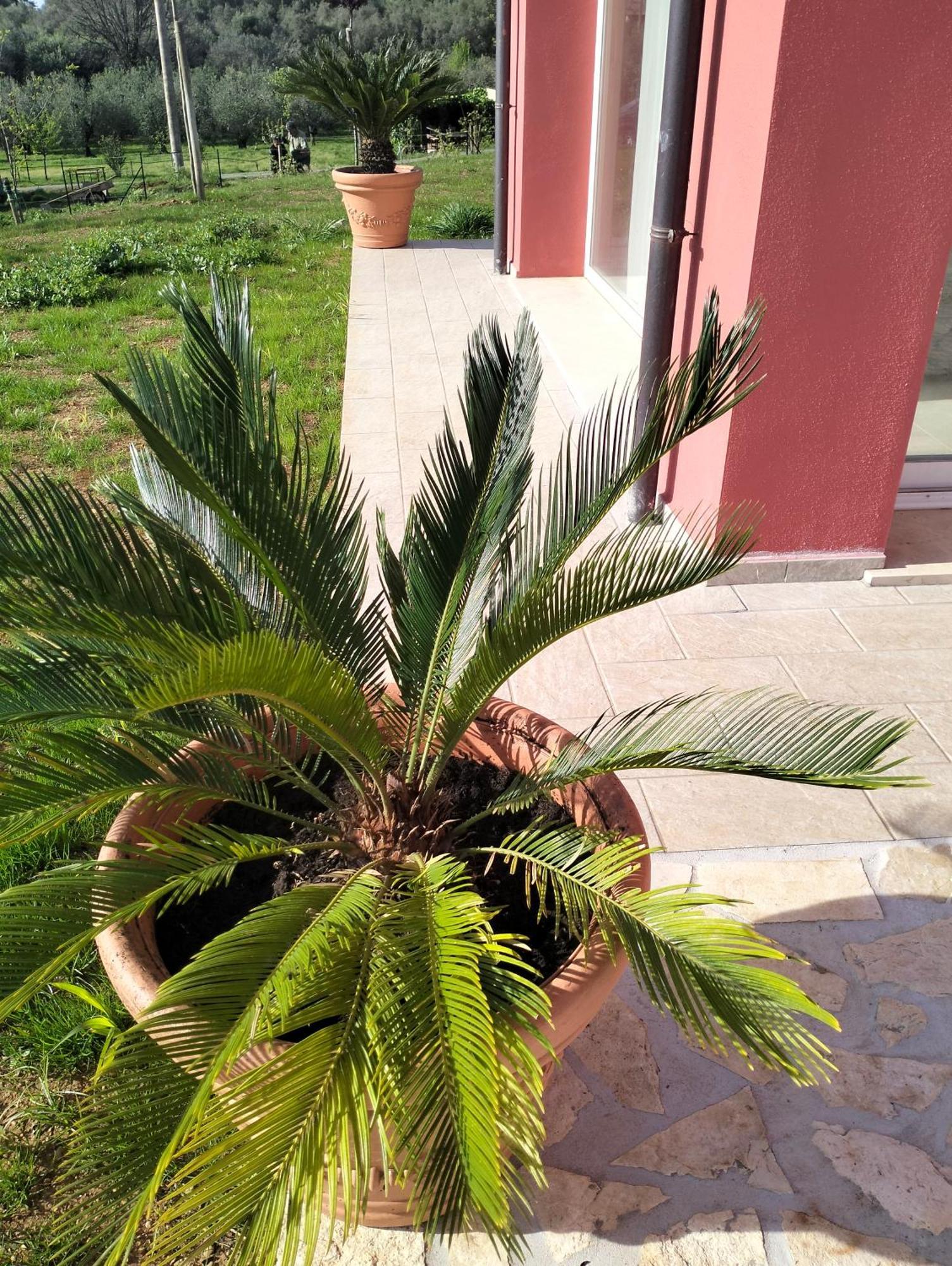 Villetta Fedora Immersa Nel Verde Cecina  Extérieur photo